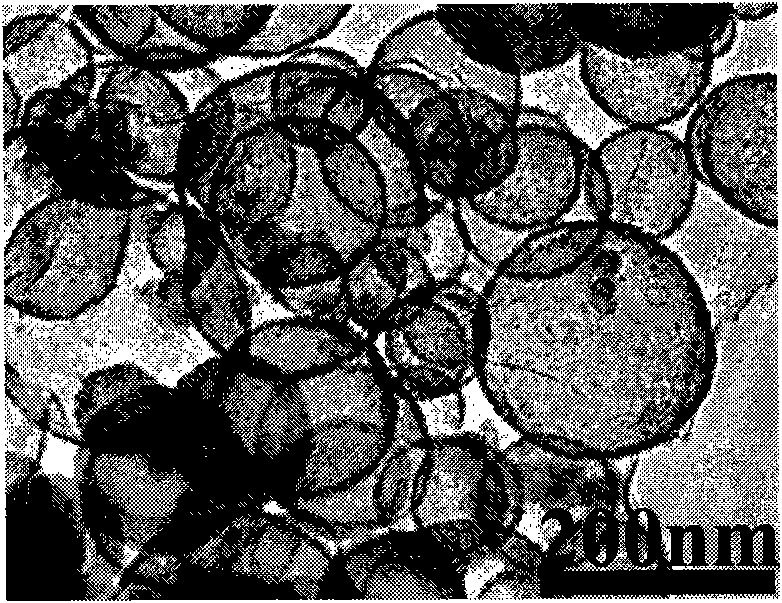 Method for preparing mesoscopic material with controllable appearance