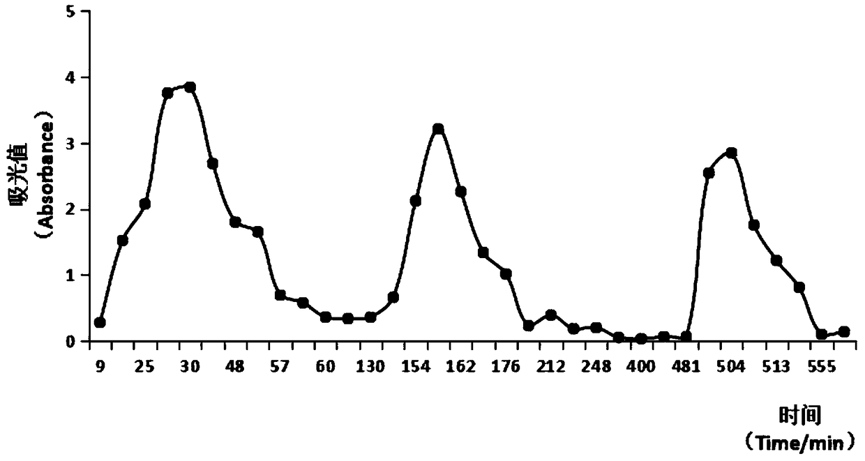 Agaricus blazei murill polypeptide as well as preparation method and application of polypeptide thereof