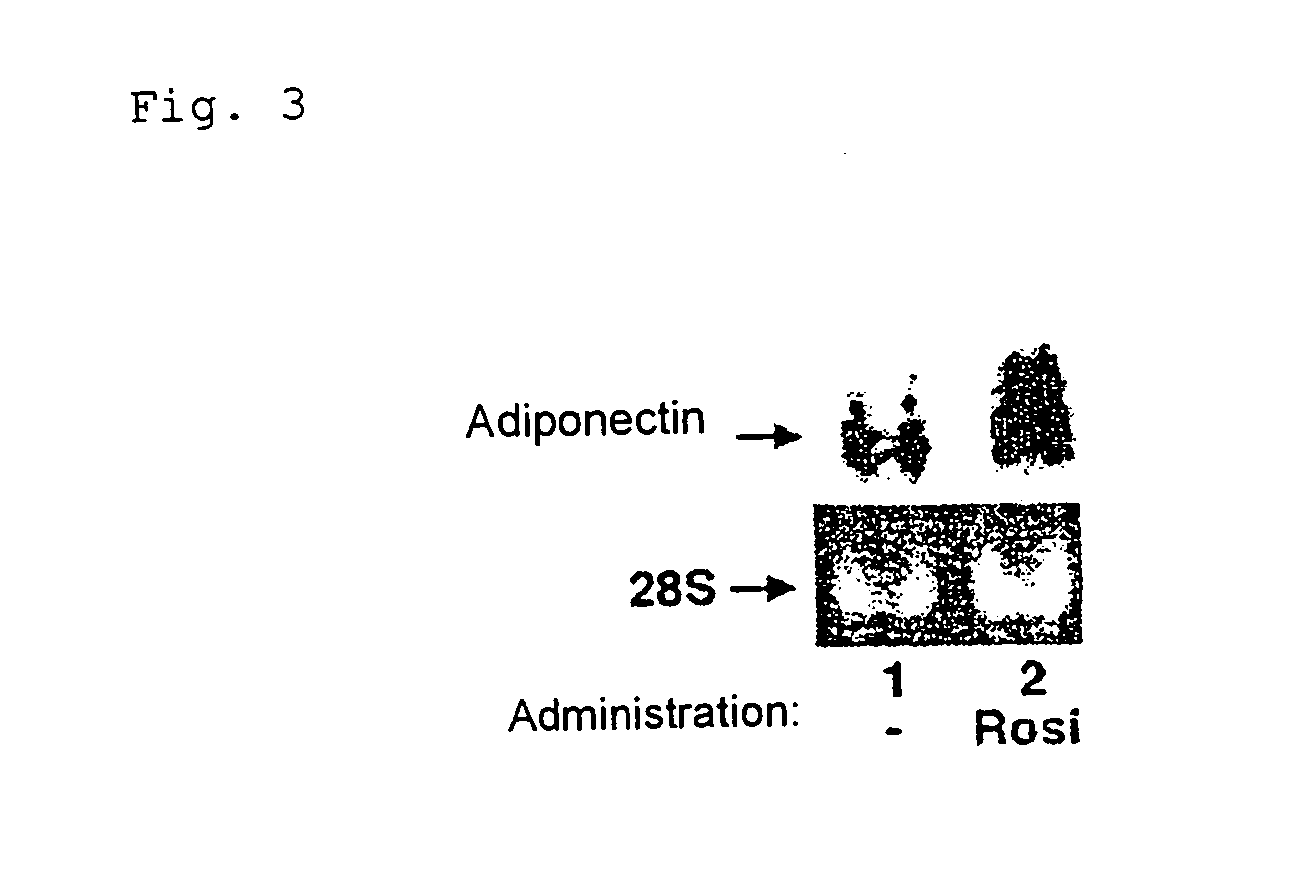 Insulin resistance improving agent