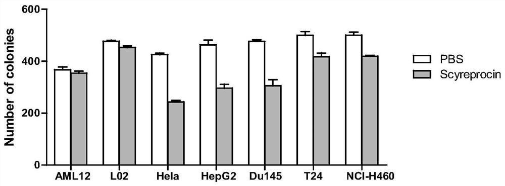 New function and use of cryptoid crab antimicrobial peptide scyreprocin