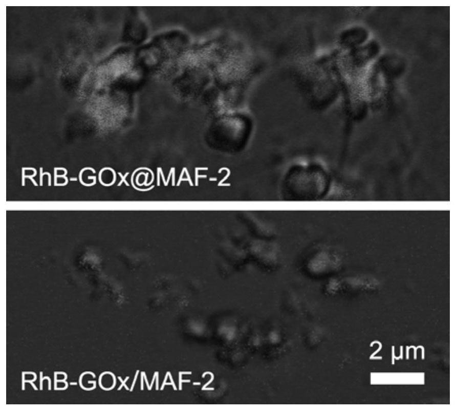 An integrated particle-type immobilized enzyme biosensor and its preparation method and application