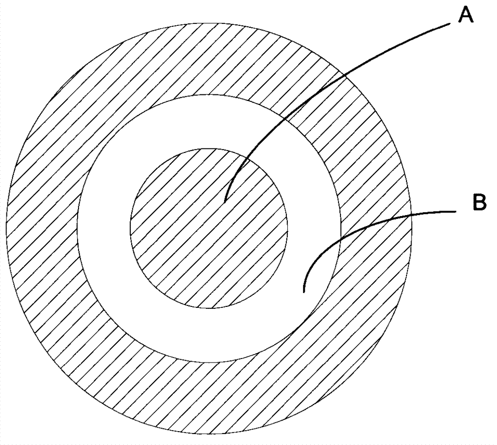 Biological fluorescence microscopic detection instrument