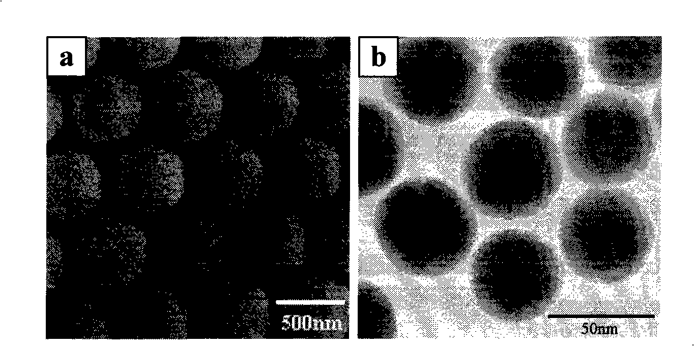 Super-hydrophilic self-cleaning SiO2 antifogging coating and preparation method thereof