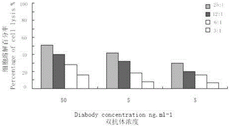 Anti-CD3/anti-CD19 dual-specific antibody and application thereof