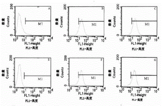 Anti-CD3/anti-CD19 dual-specific antibody and application thereof