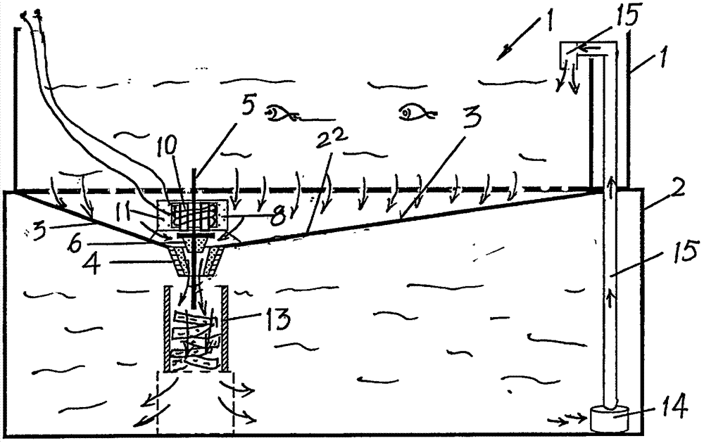 Circulating filtered water ornamental fish tank with automatic valve capable of controlling tank bottom blow-down pipe