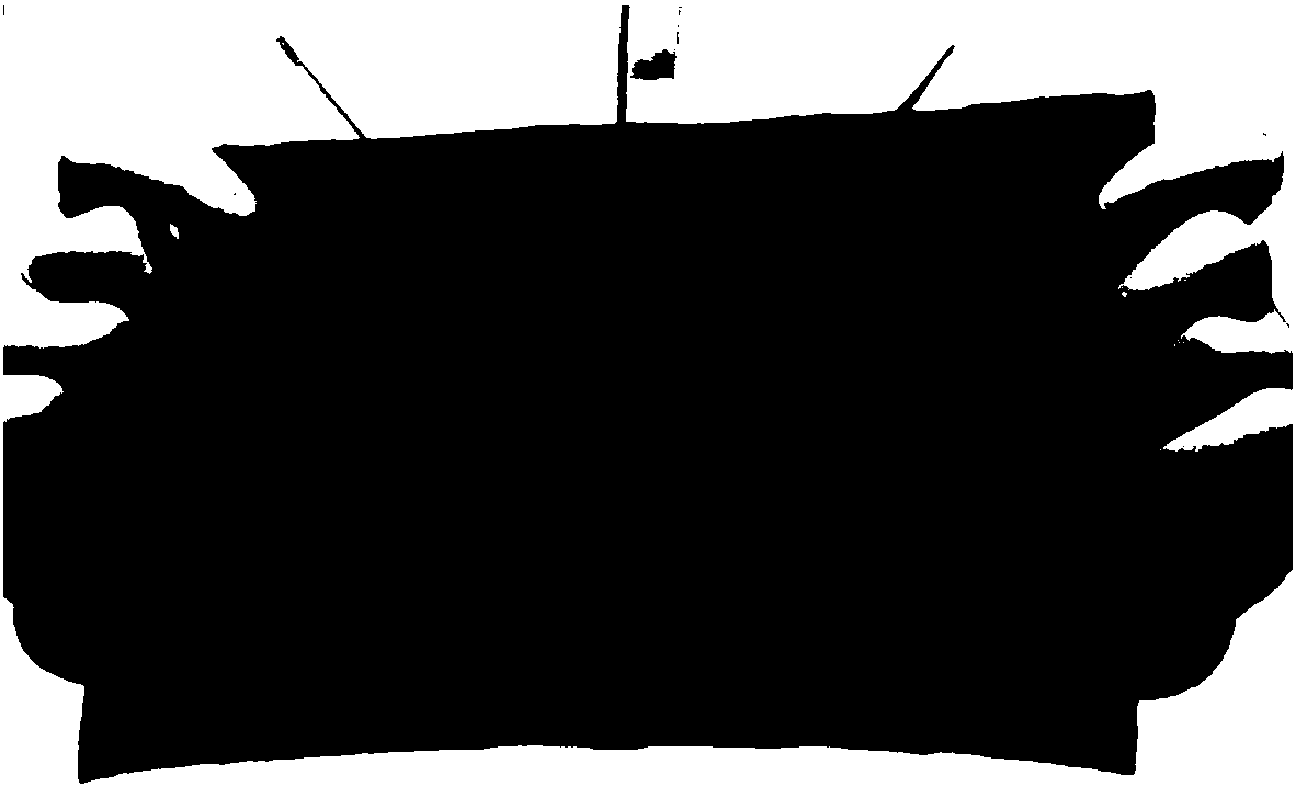 Leather-based preparation method of electrocardiogram monitoring dry electrode