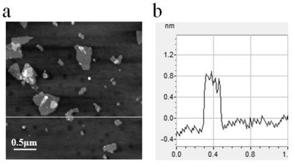 A kind of preparation method of graphene/polyaniline binary absorbing material