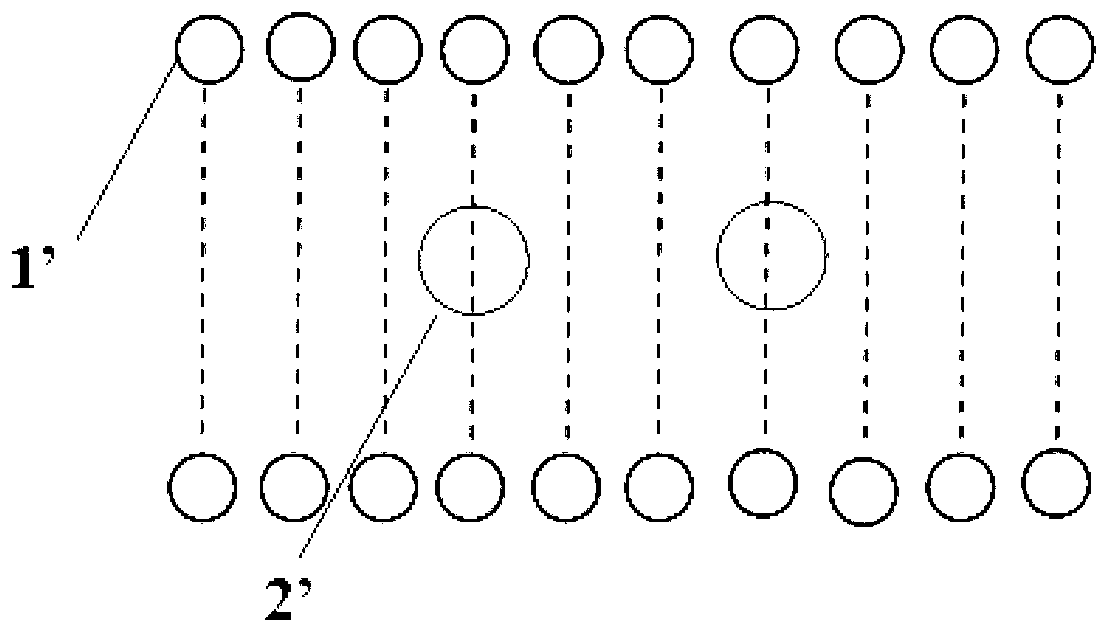 Polishing method based on dielectrophoresis effect and dedicated equipment thereof