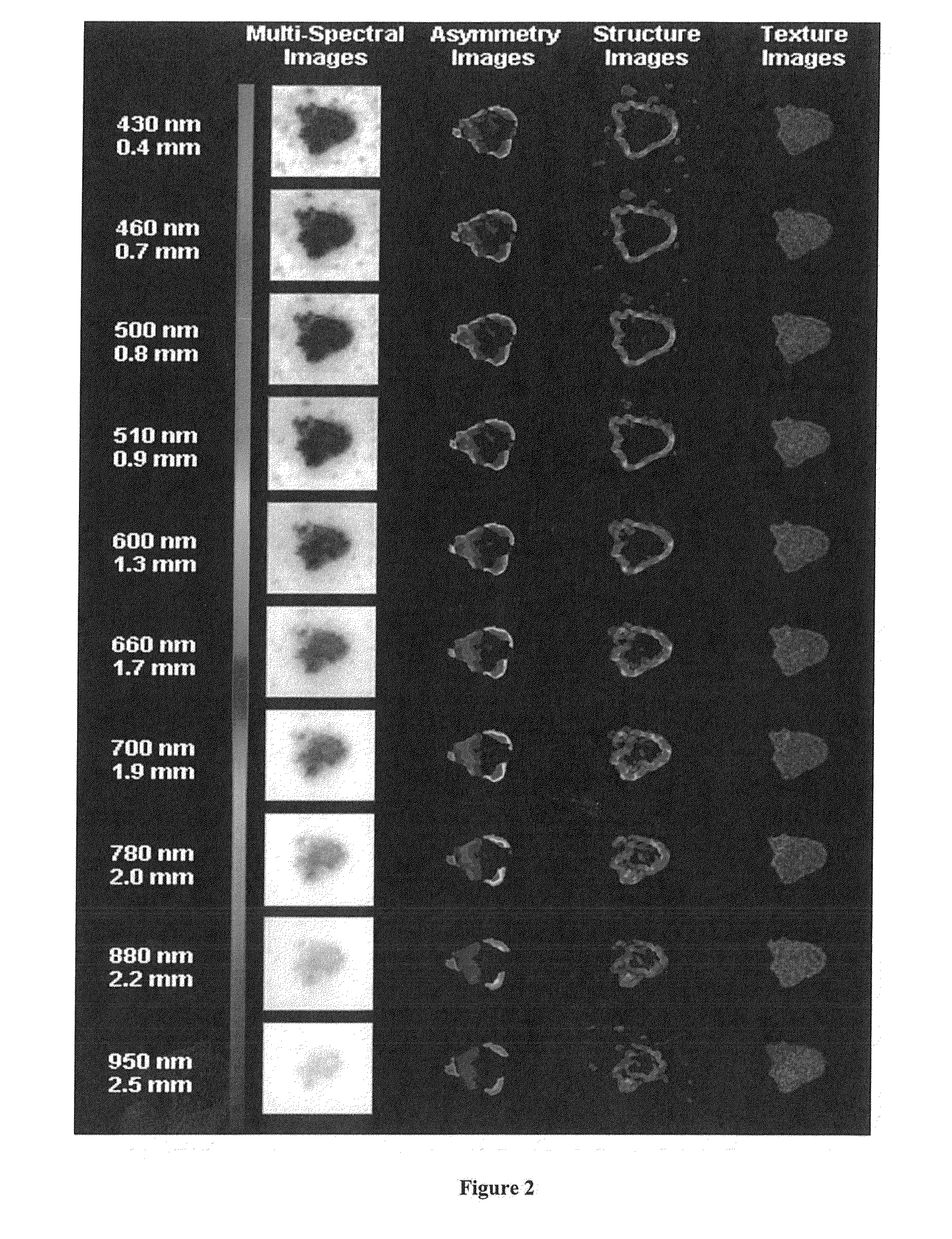 Three dimensional tissue imaging system and method