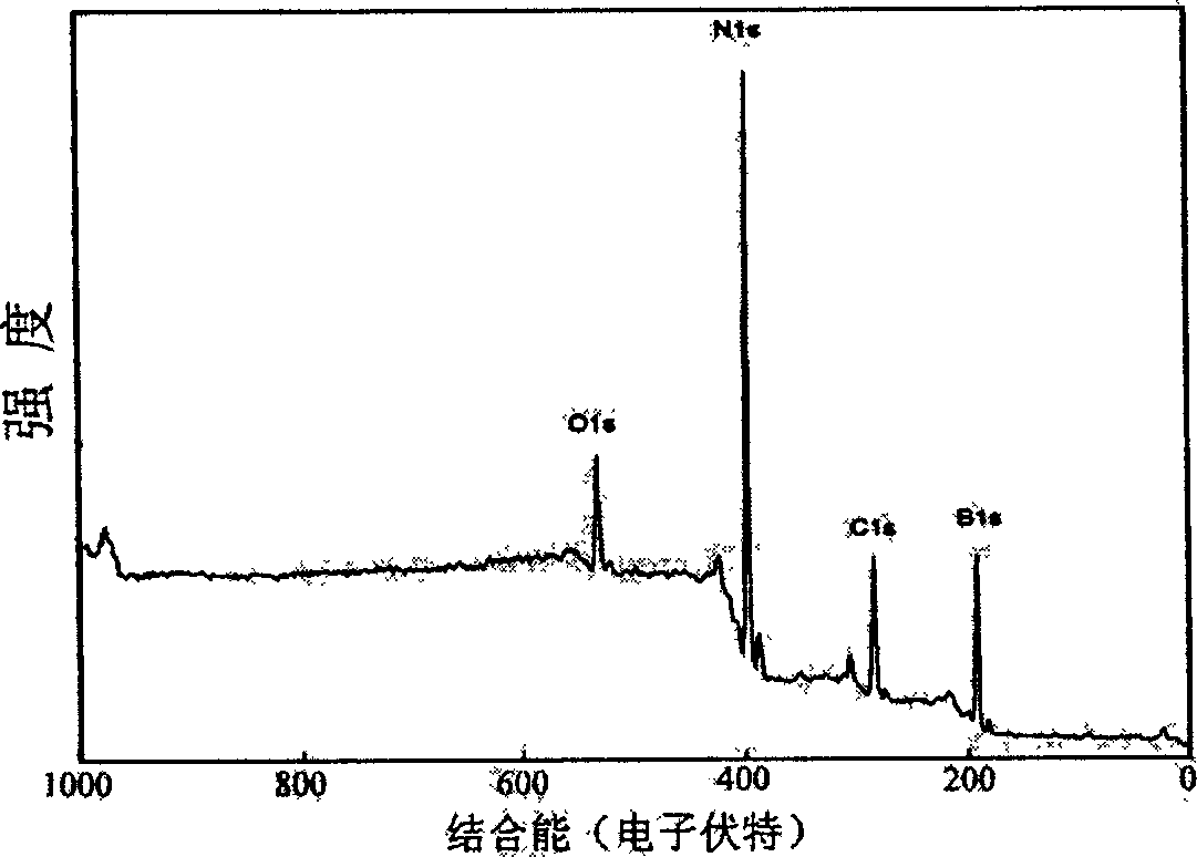 Method for preparing boron nitride nanometer ring and tube