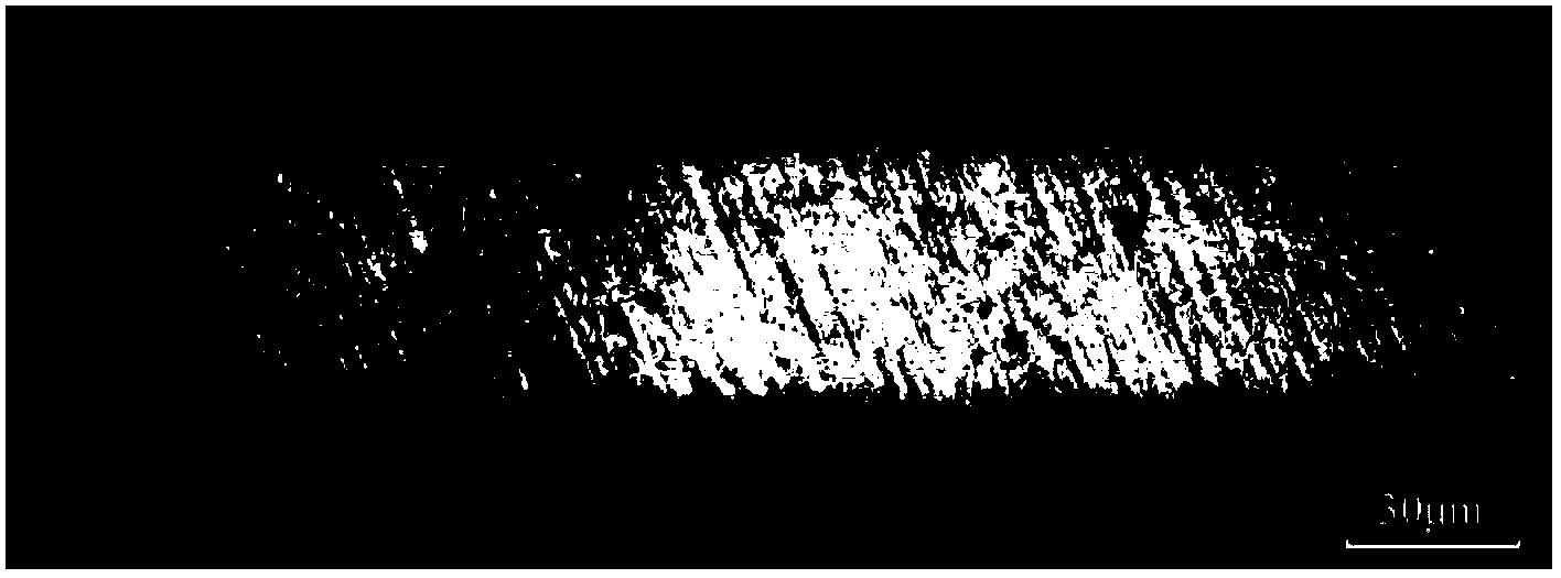 Preparation method for synchronously cold-rolling iron foil by using laminated method