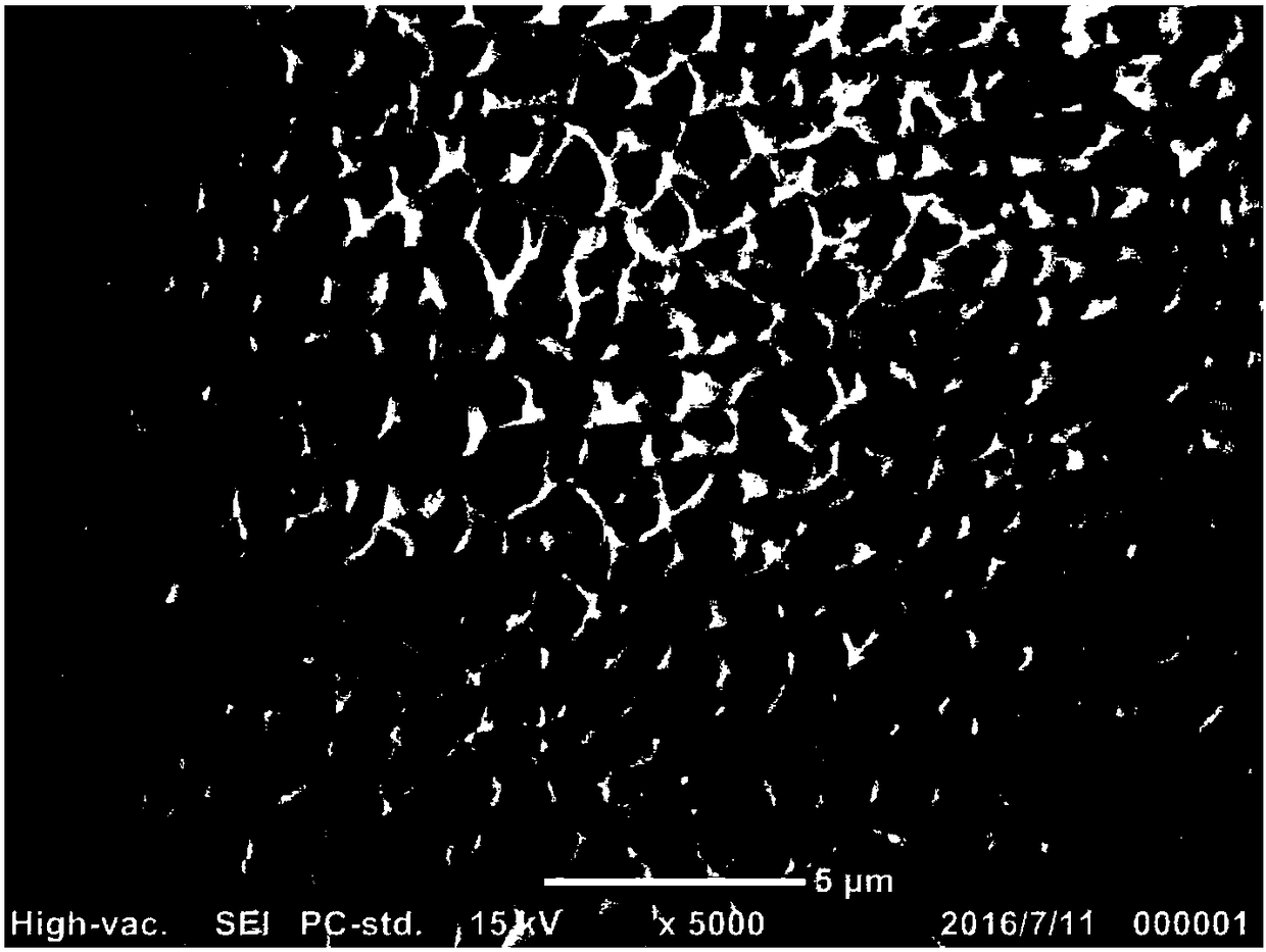 PEEK (polyether-ether-ketone) porous separator for lithium ion battery as well as preparation and application of PEEK porous separator