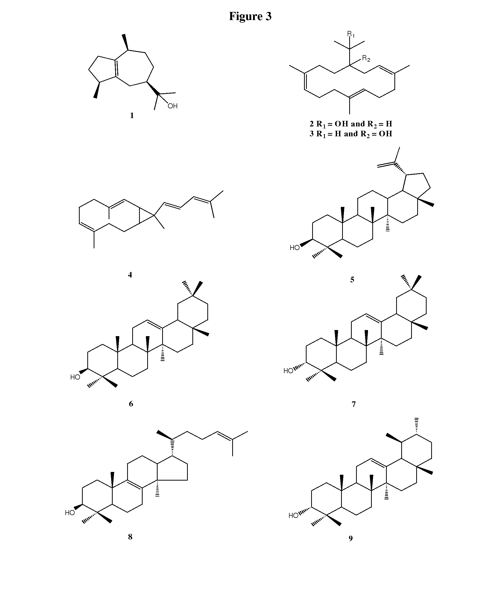 Compositions comprising non-acidic boswellia oil fraction as a bio-enhancer for enhancing bioavailability of biological agents