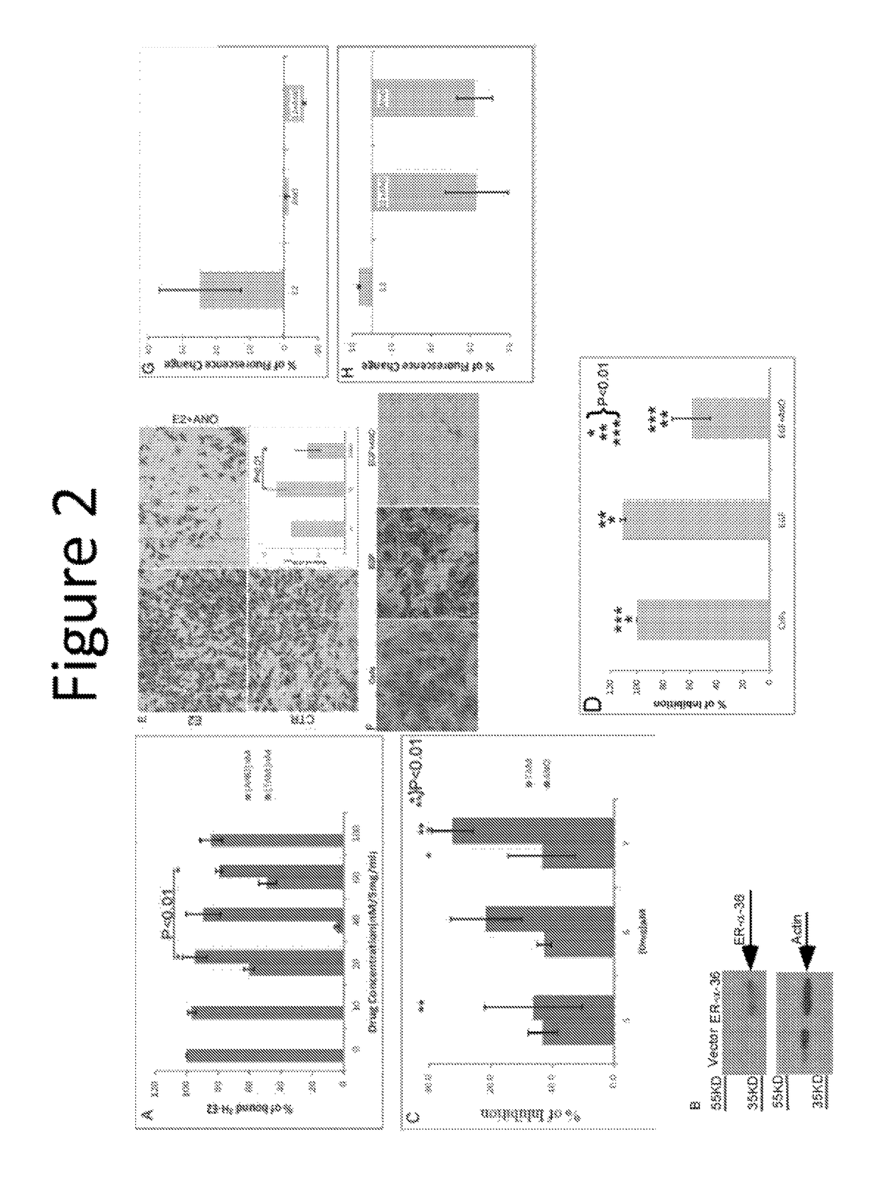 Anordrin compositions and methods for treating diseases