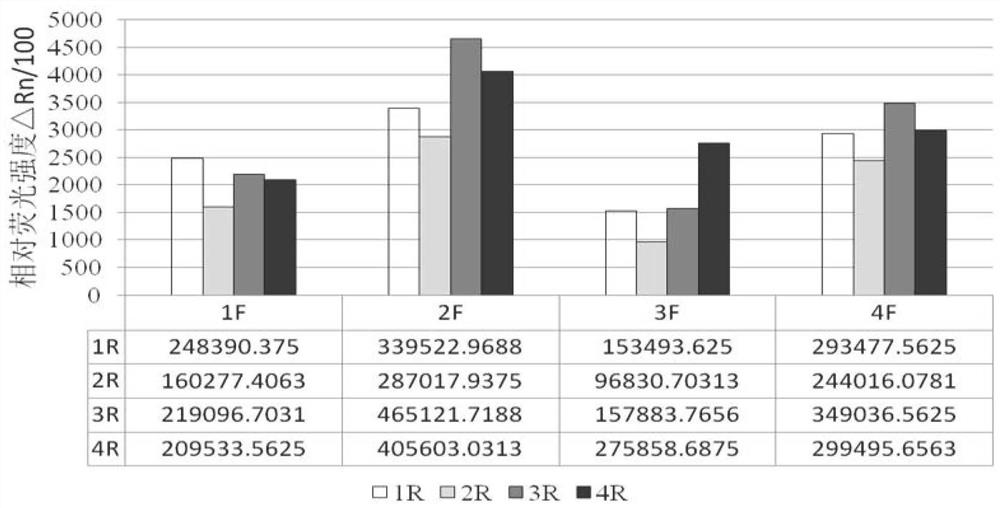 Fluorescent recombinase-mediated isothermal amplification detection kit for Clavibacter michiganensis subsp. nebraskensis