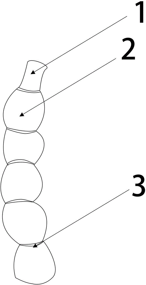 Preparation method of bamboo shell tea