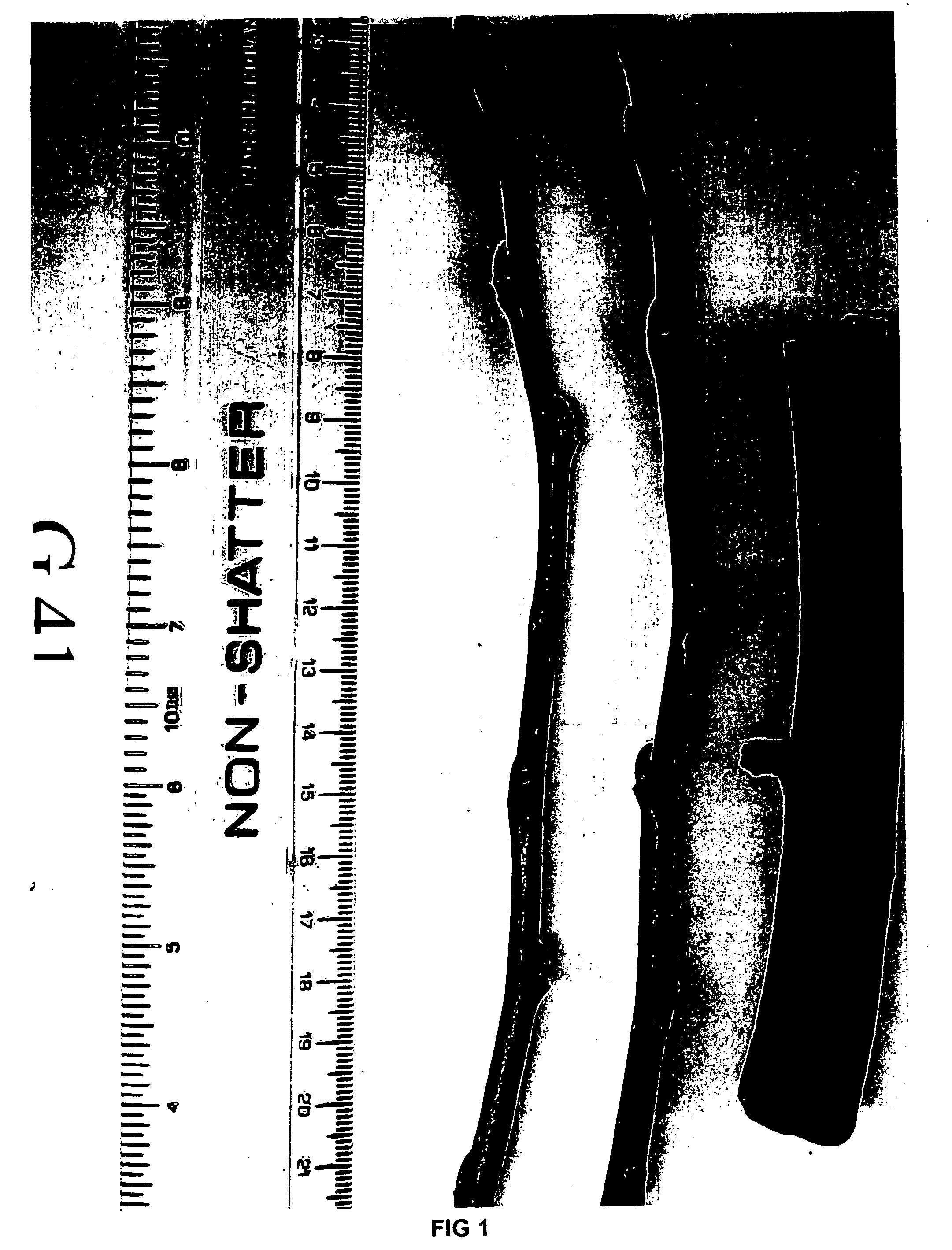 Apple tree rootstock named 'g.41'