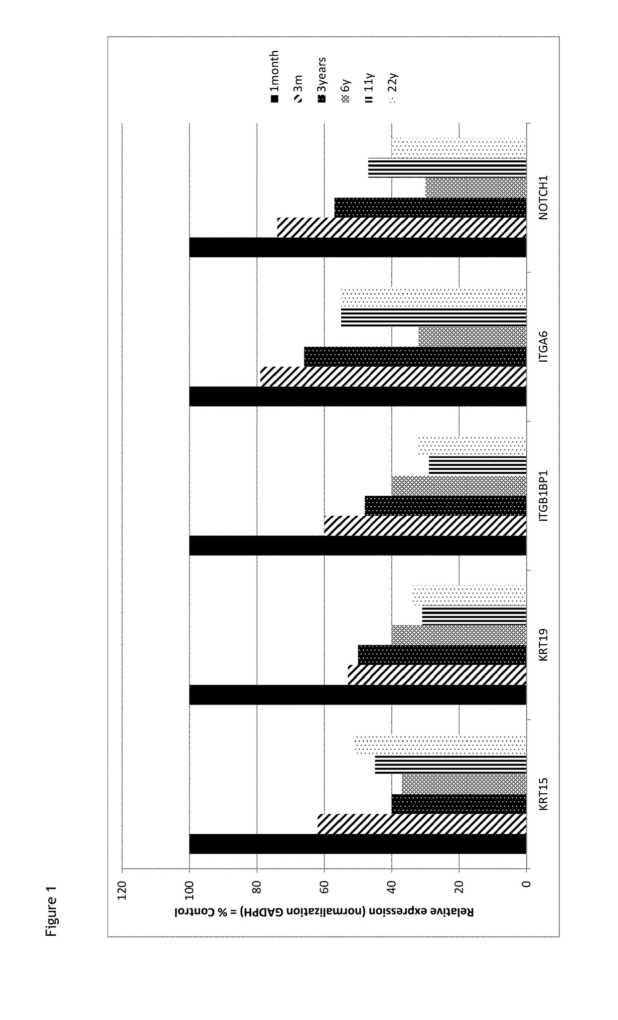 Use of a composition comprising avocado perseose in the protection of epidermal stem cells