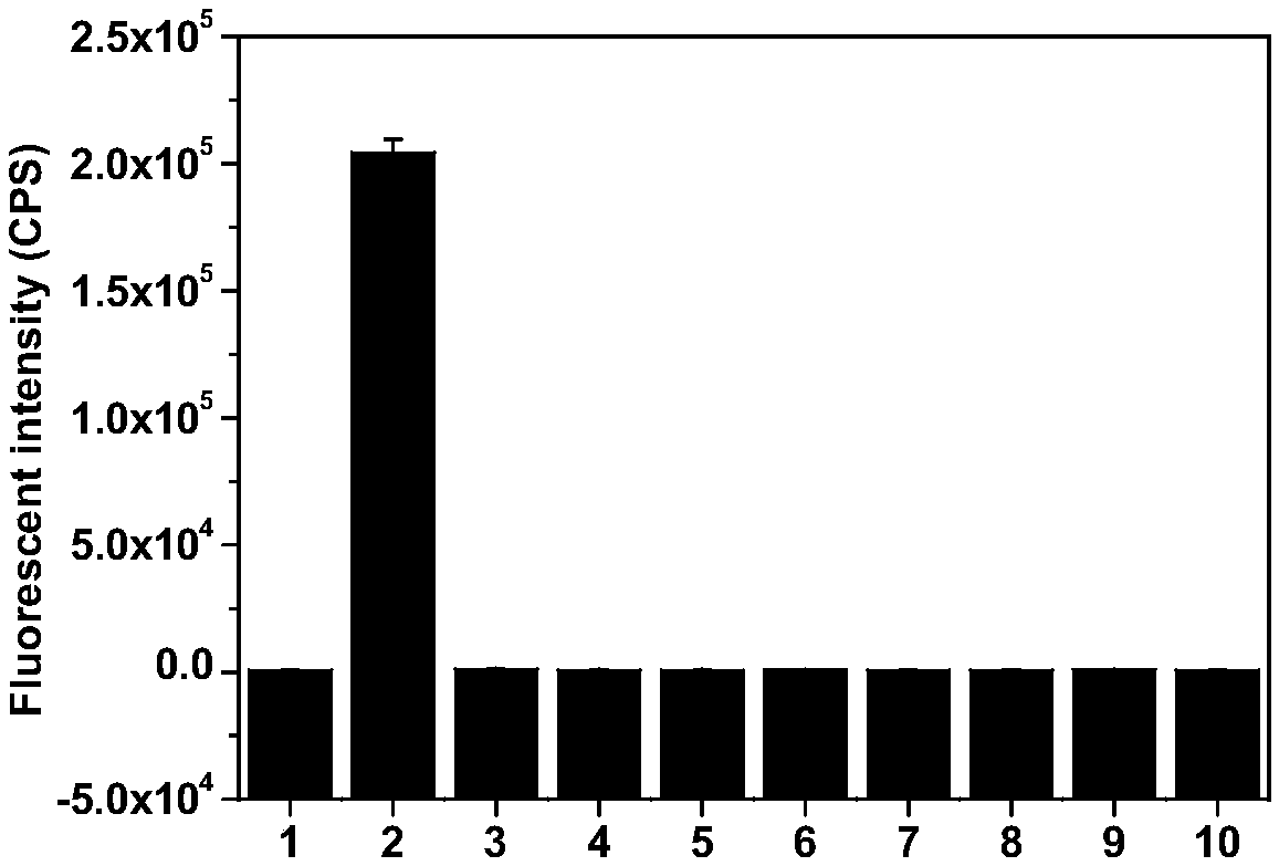 Cyanine-based organic compound, intermediate and application thereof