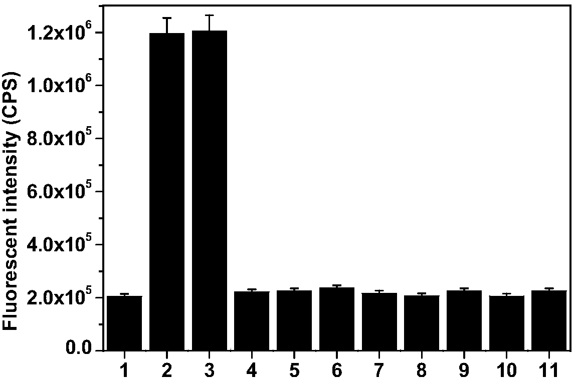 Cyanine-based organic compound, intermediate and application thereof