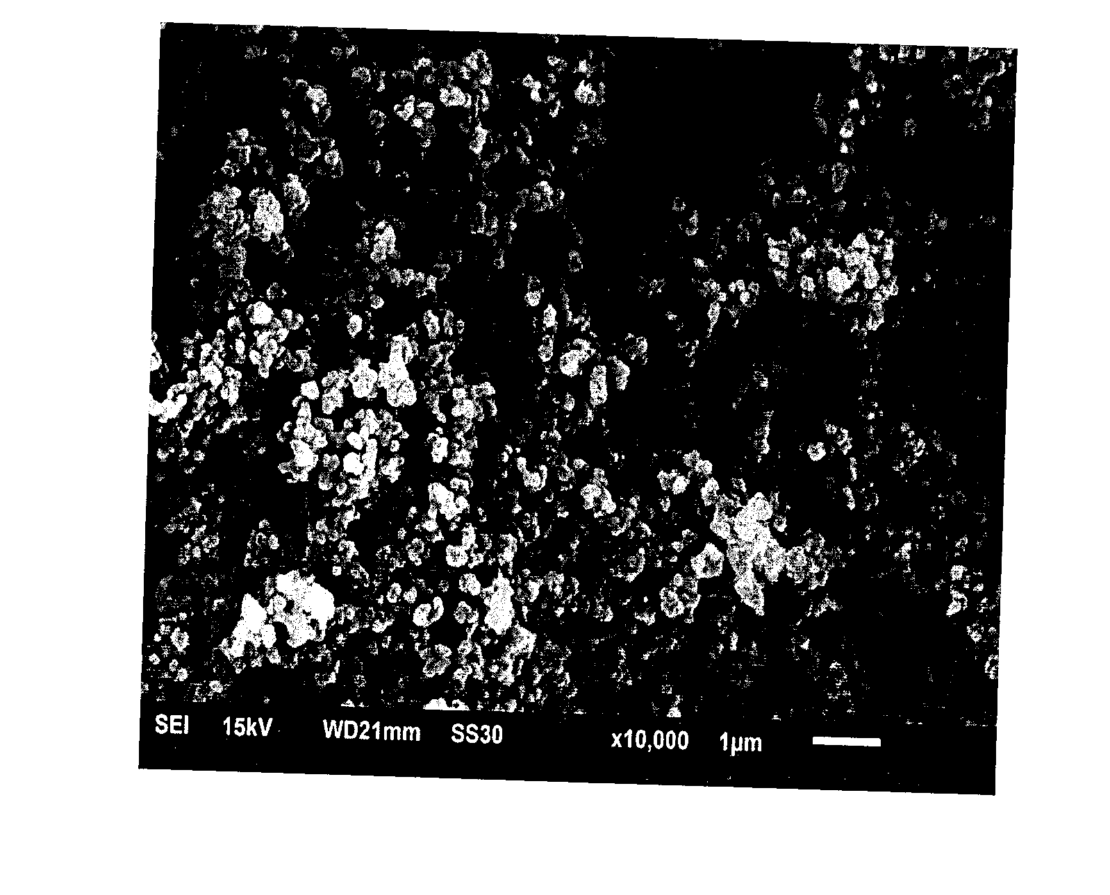 Fabric morphological polymer battery and preparation method thereof