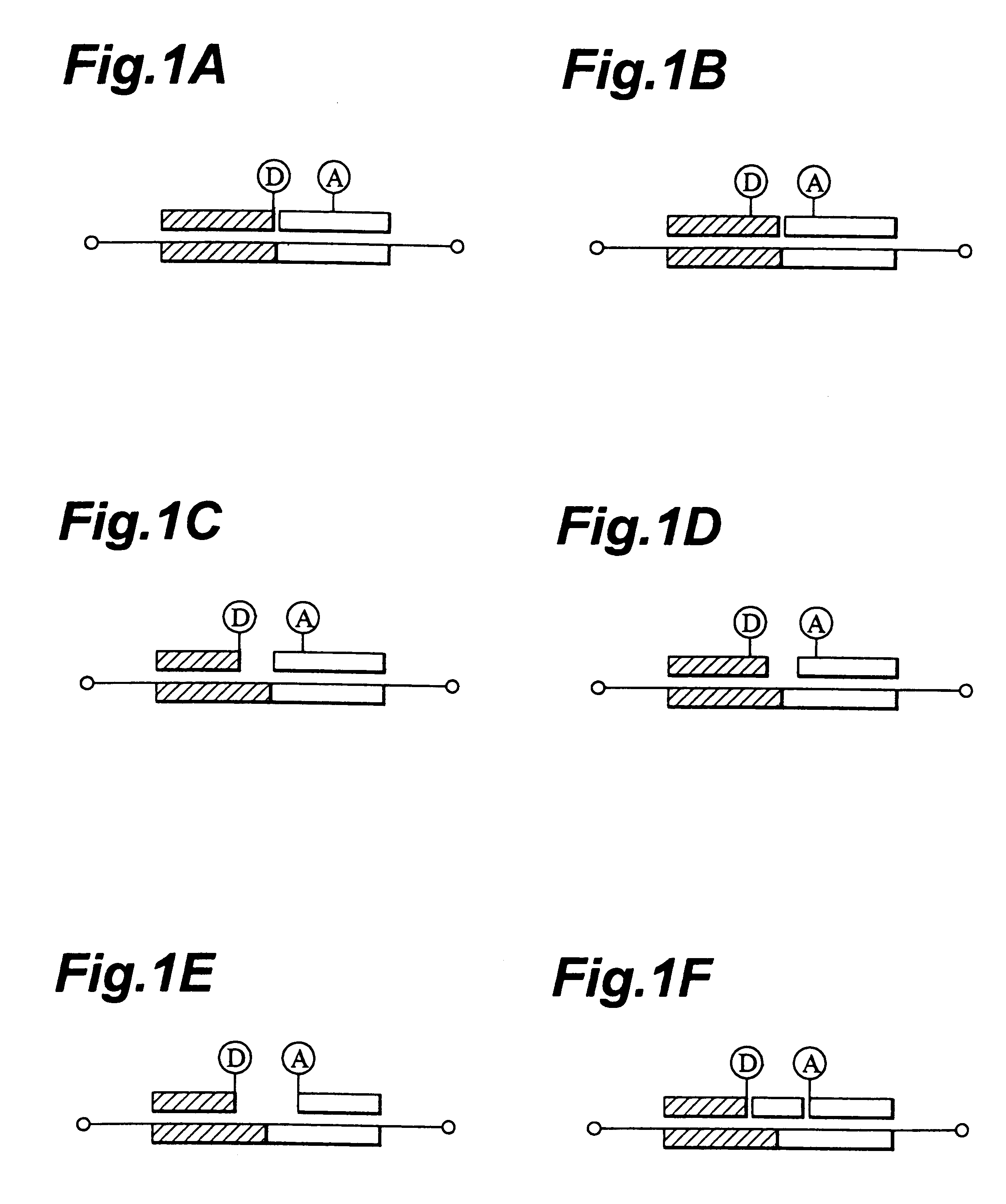 Probes and methods for polynucleotide detection