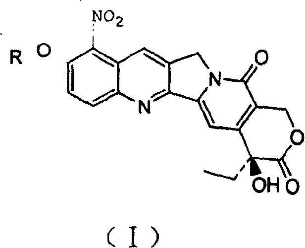 10-alkoxy camptothecine derivative and its preparing method and use