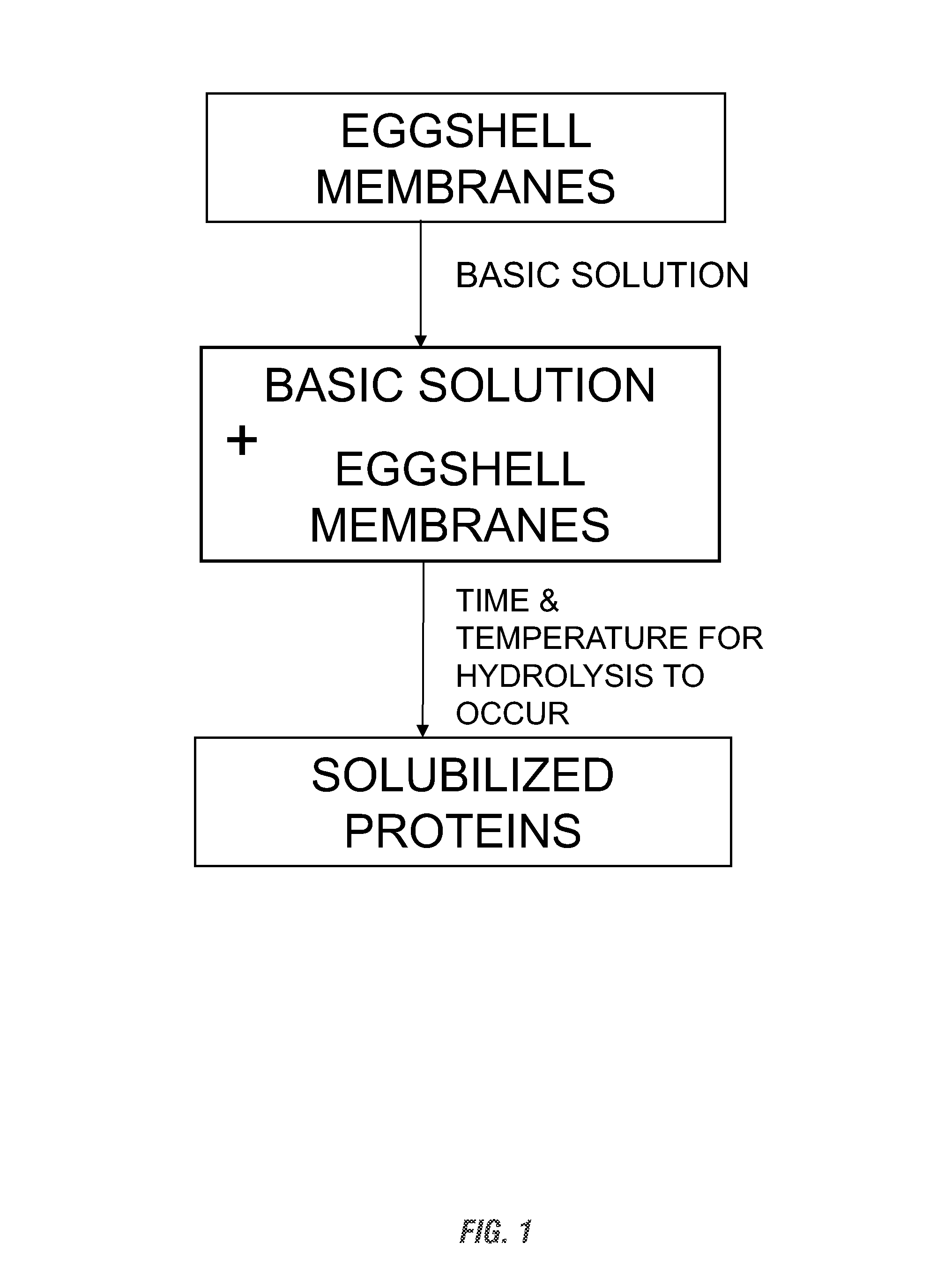 Solubilized protein composition obtained from eggshell membrane