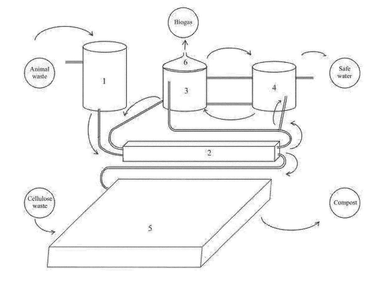 Process and facility for the treatment of livestock waste