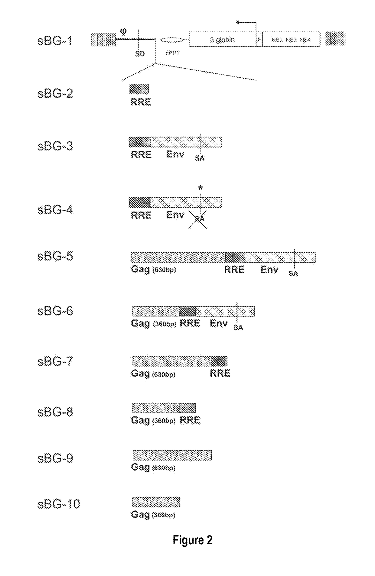 An improved fetal hemoglobin for genetic correction of sickle cell disease