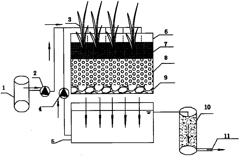 High-efficient circulating vertical flow constructed wetland and device suitable for sewage decentralized treatment