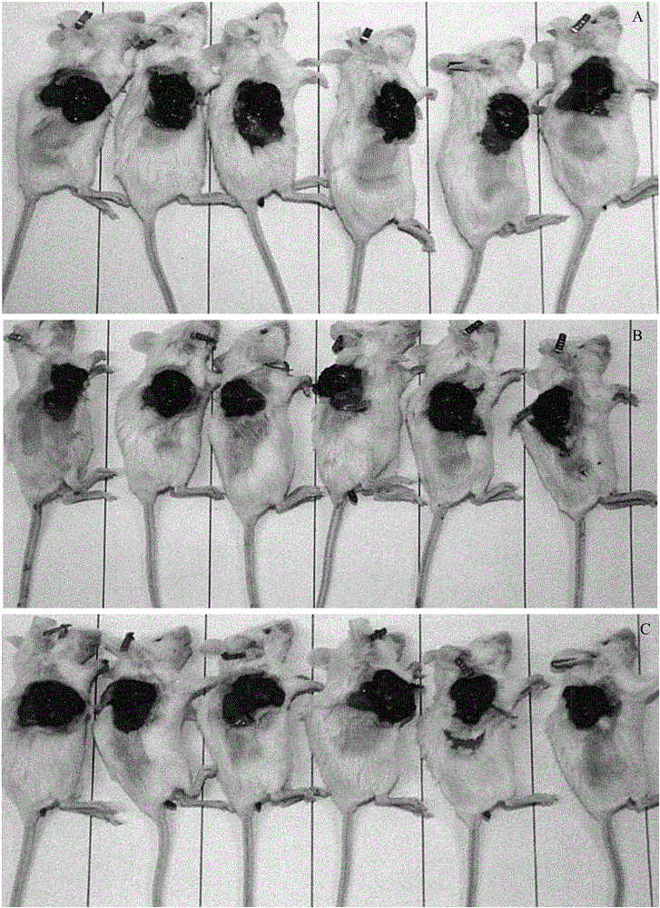 Pharmaceutical composition with efficacy of resisting gastrointestinal cancer