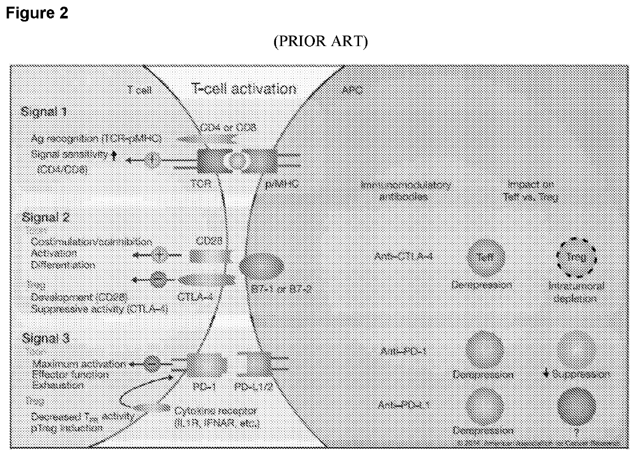 Combination tumor immunotherapy