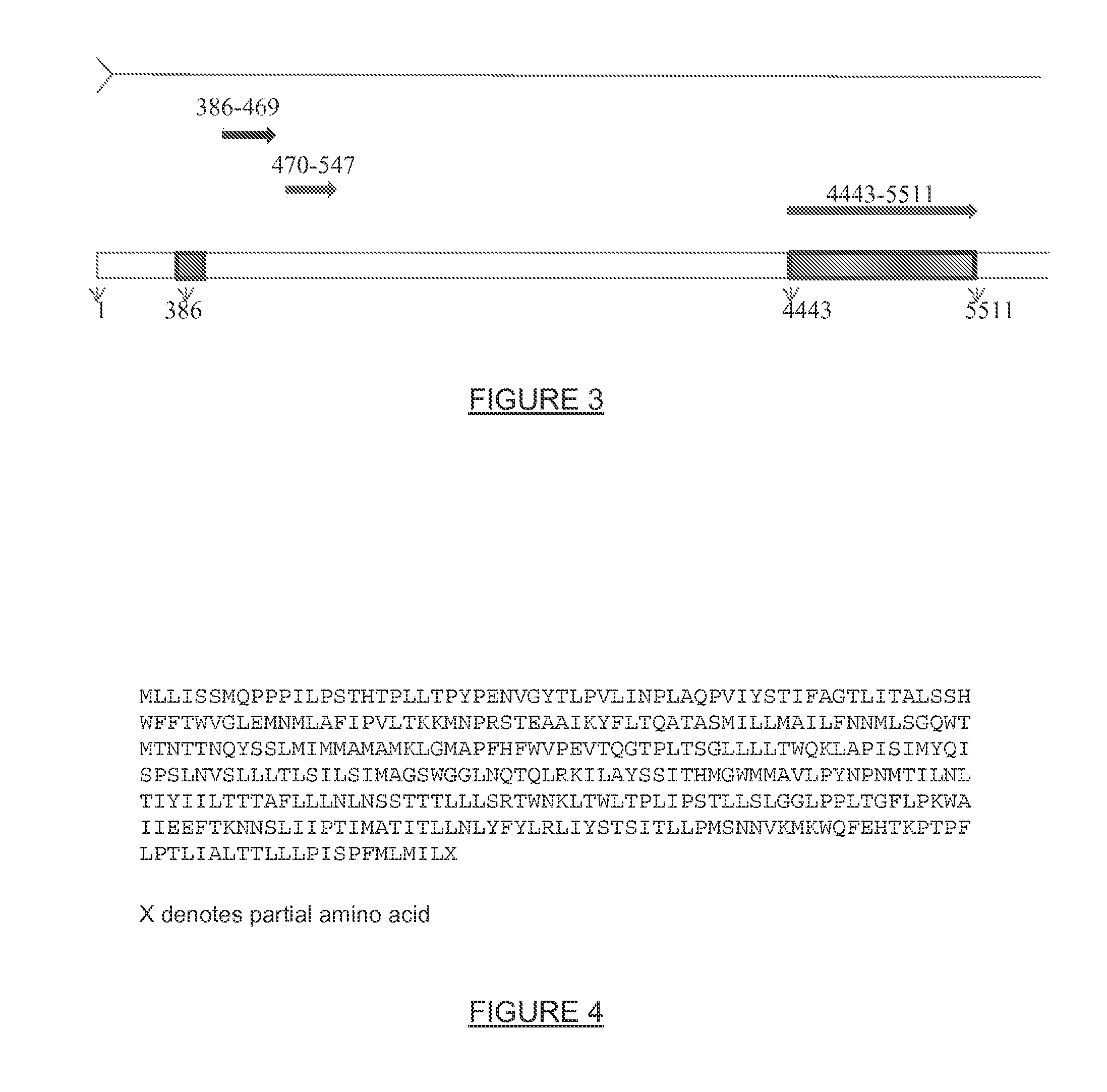 UV Associated mtDNA Fusion Transcripts and Methods and Uses Thereof