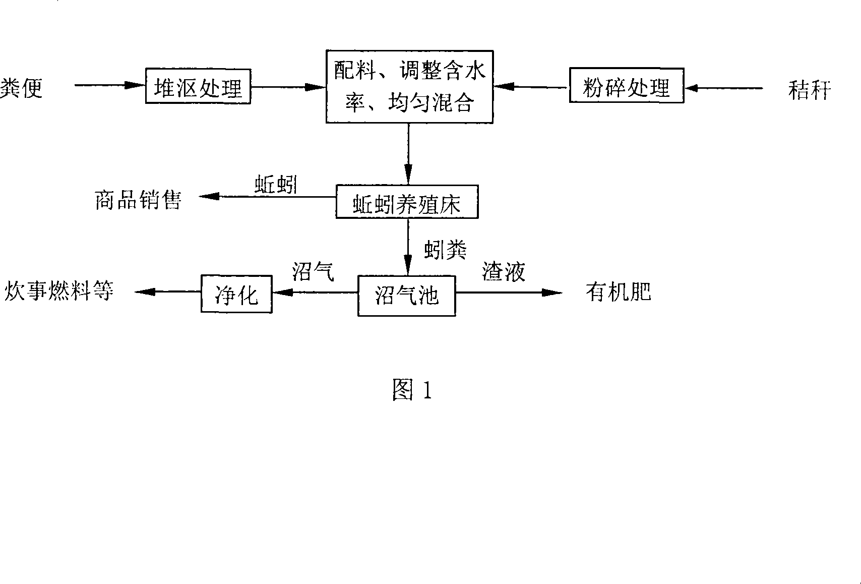 Anaerobic fermentation technique for combined treatment of dejection and straw