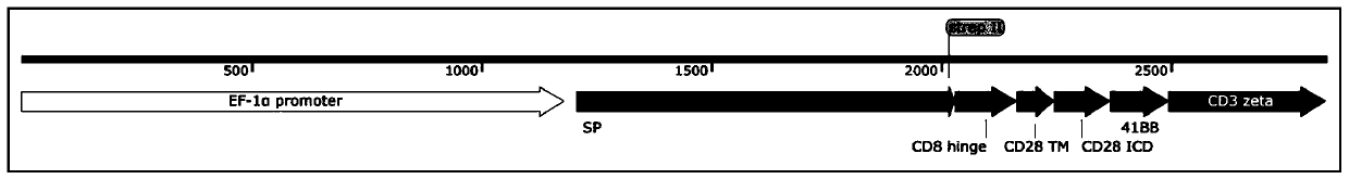 Chimeric antigen receptor using CD99 as target site and application of chimeric antigen receptor