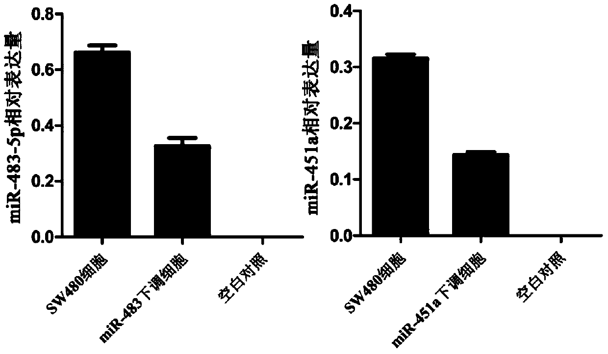 Primers and kits for colorectal cancer metastasis detection based on serum exosomal microRNAs