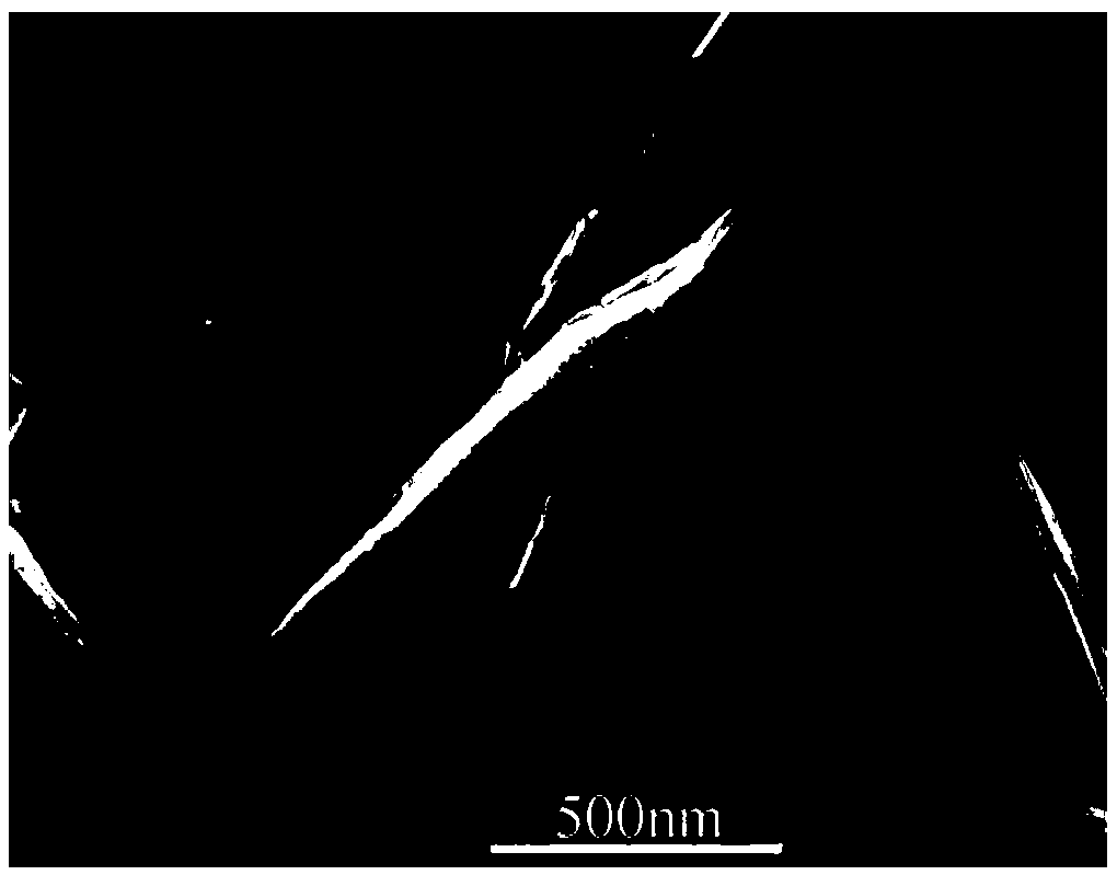 Two-dimensional oversized mint-leaf-shaped nickel oxide nano material and preparation method thereof