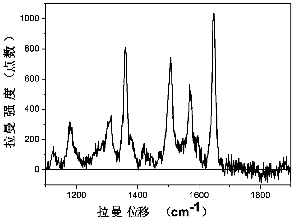 A kind of preparation method of surface-enhanced Raman substrate