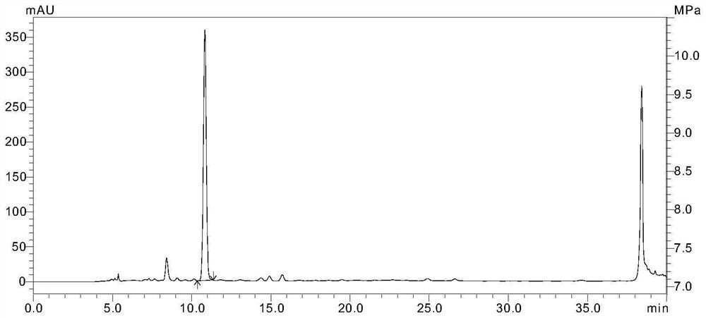 Characteristic chromatogram of ground beetle water extract and preparation thereof and construction method of characteristic chromatogram