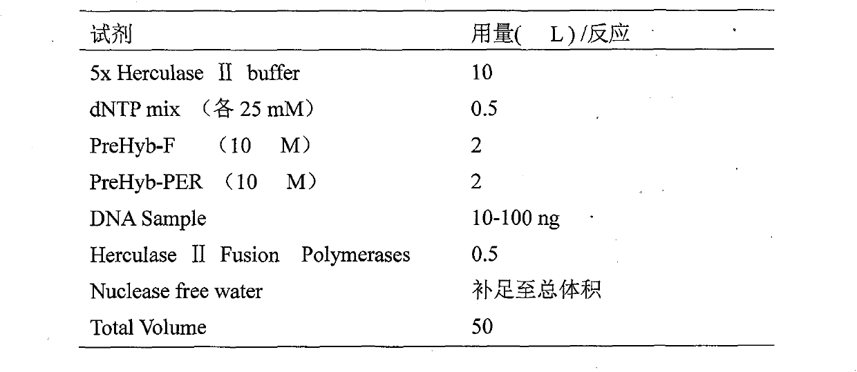 Kit for examining Liddle's related gene mutation