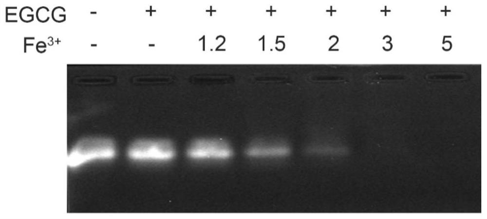 Nucleic acid drug delivery system, preparation method, pharmaceutical composition and application