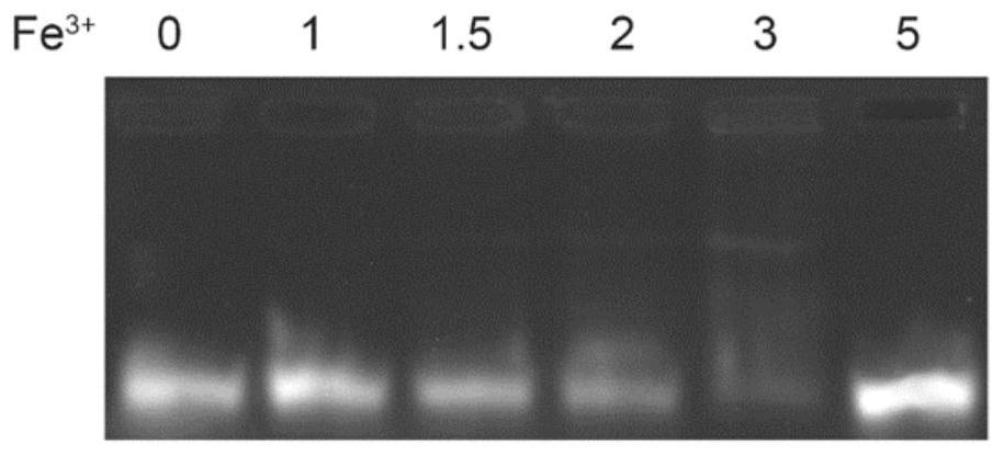 Nucleic acid drug delivery system, preparation method, pharmaceutical composition and application