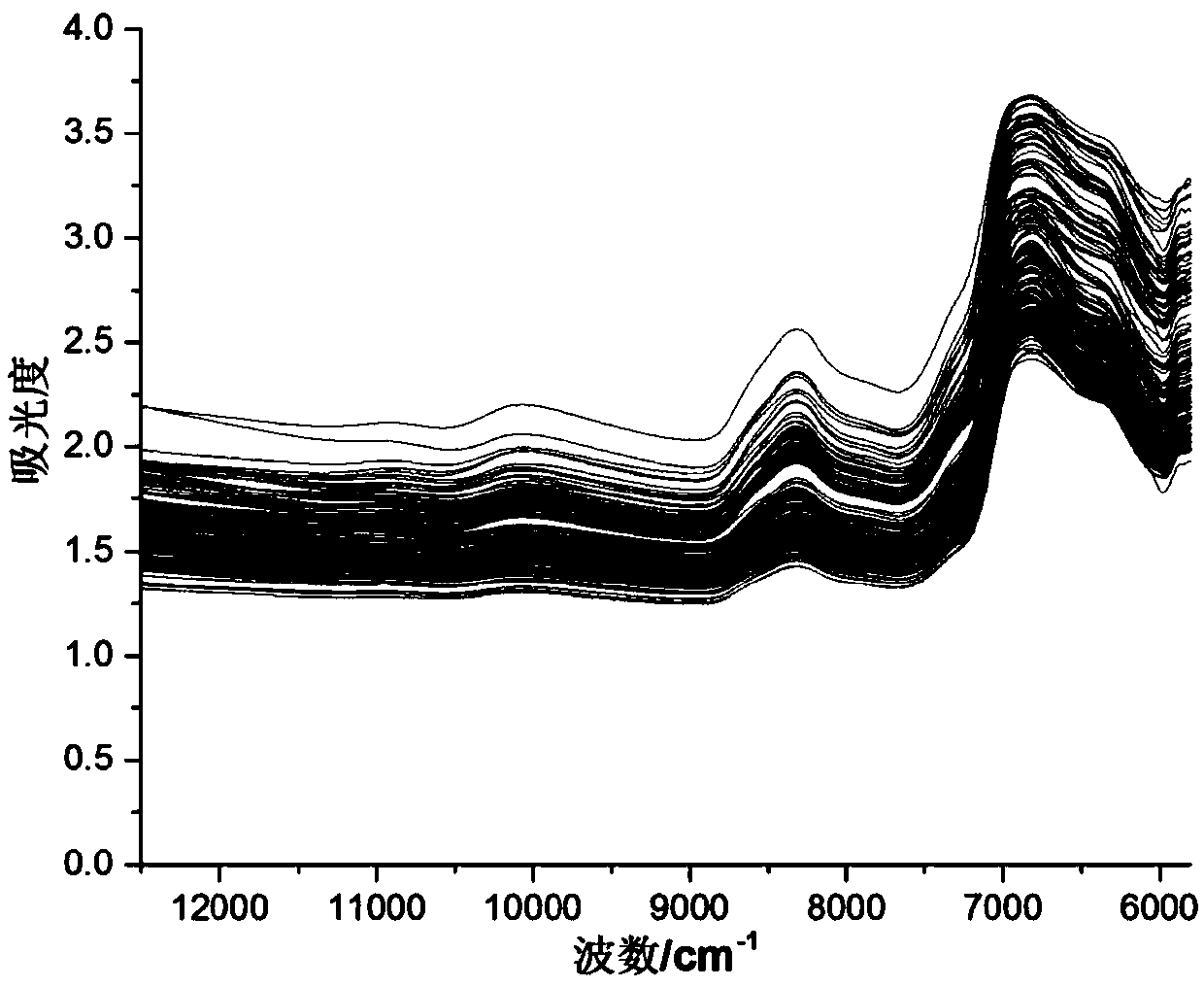 Single-grain rice amylose quantitative analysis model constructing and detecting method