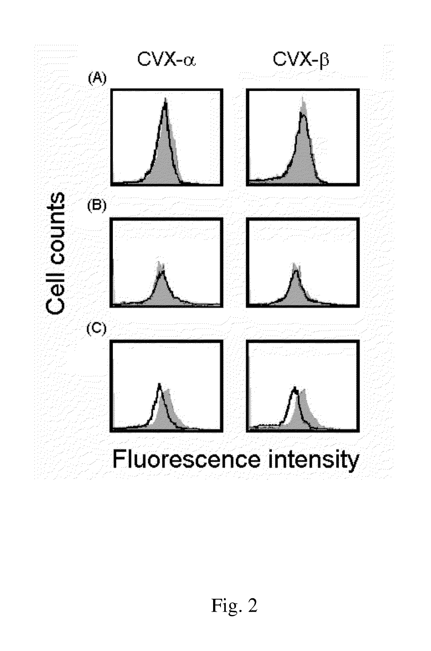 Peptide compounds for inhibition of platelet aggregation