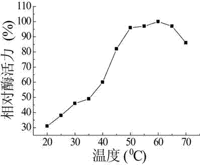 Method and special enzymic preparation for preparing ultra-high maltose syrup