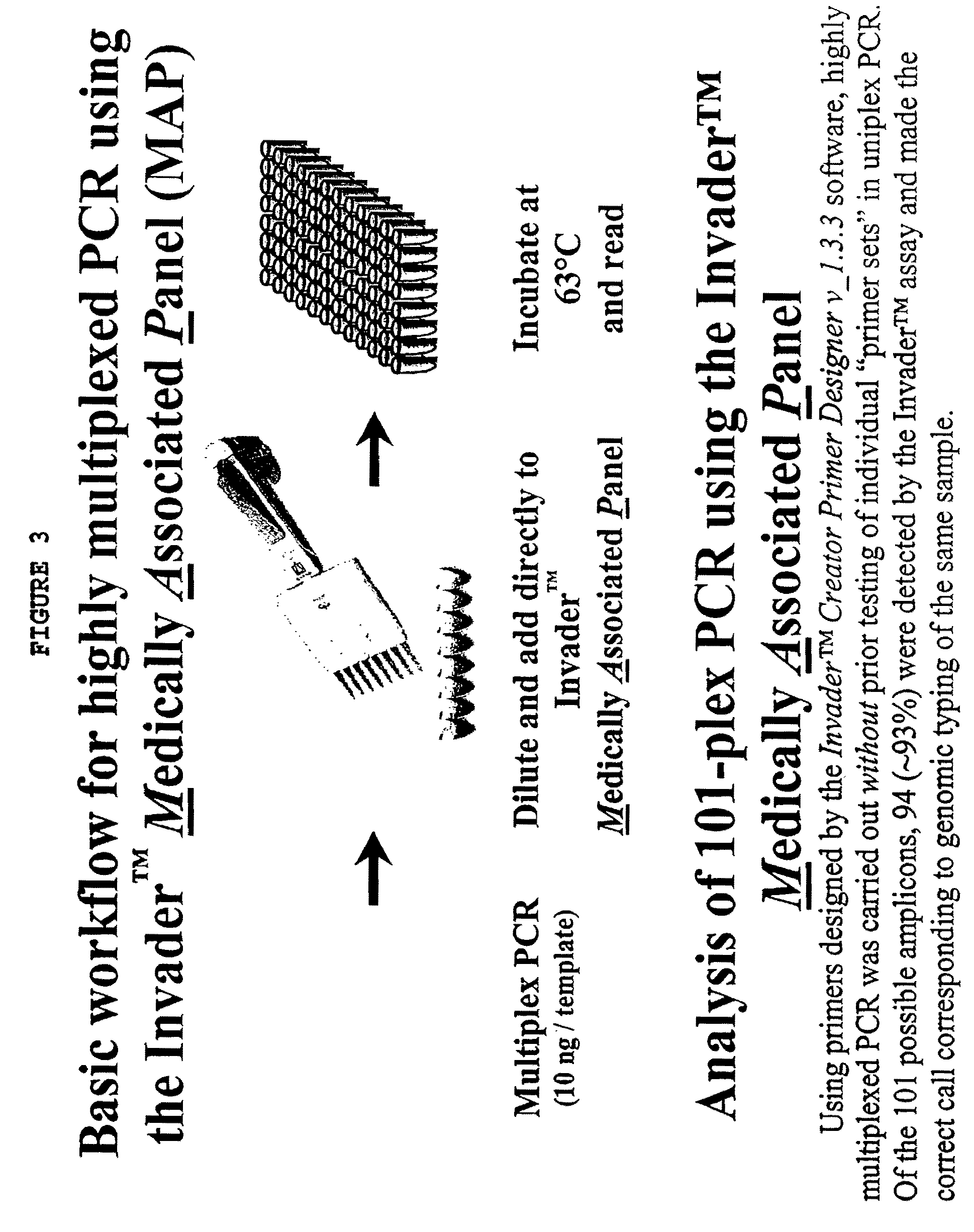 Amplification methods and compositions