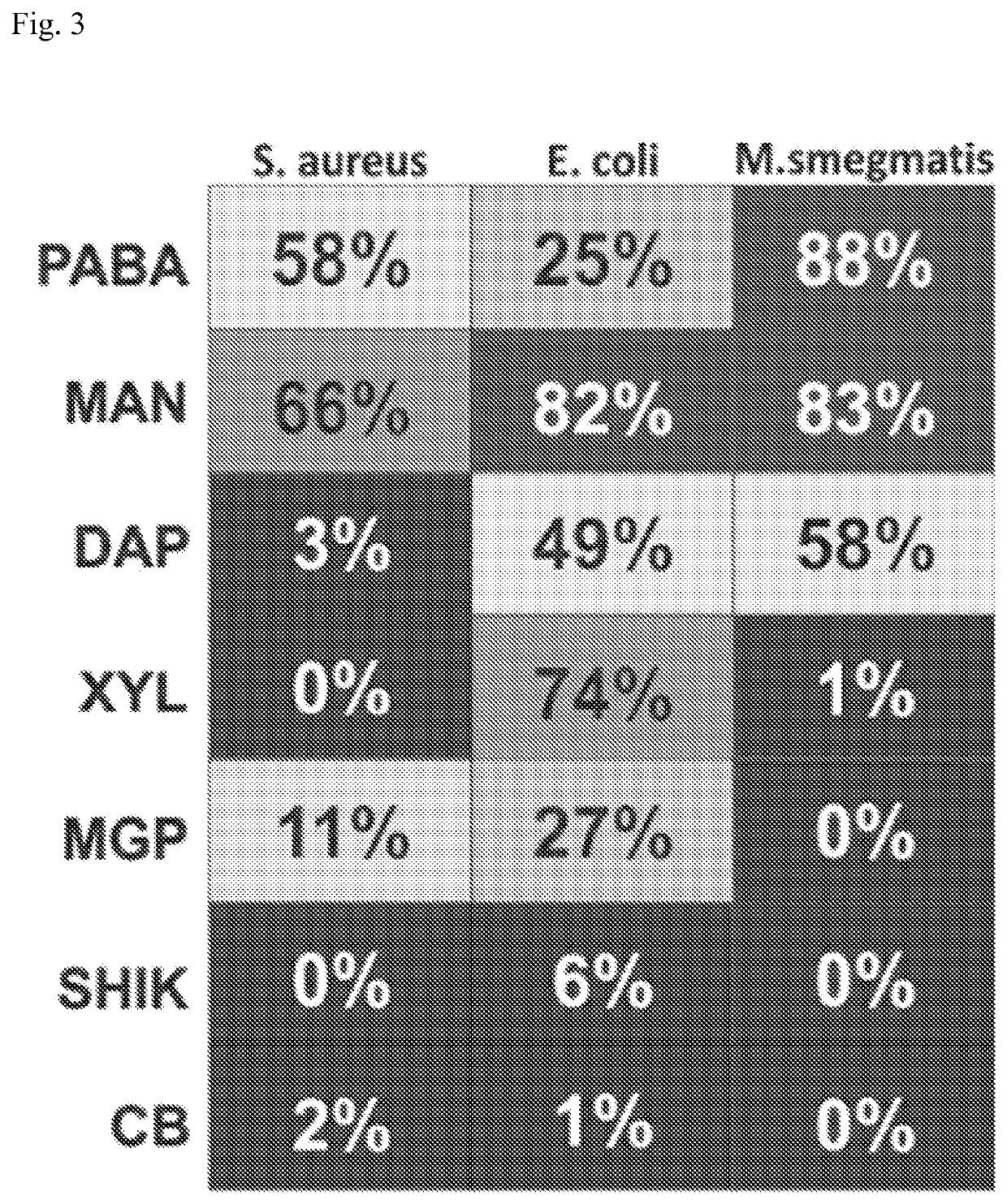 Bacteria-specific labeled substrtates as imaging biomarkers to diagnose, locate, and monitor infections