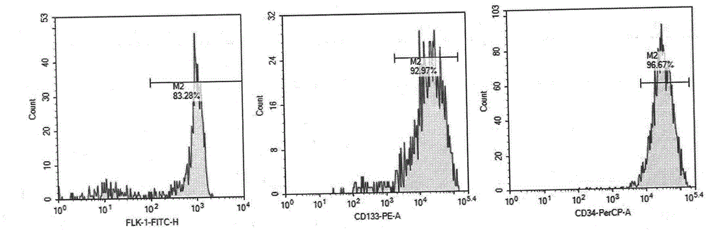 Medical cosmetic product containing autologous peripheral blood vascular endothelial progenitor cells